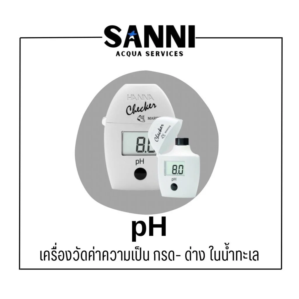 pH Checker