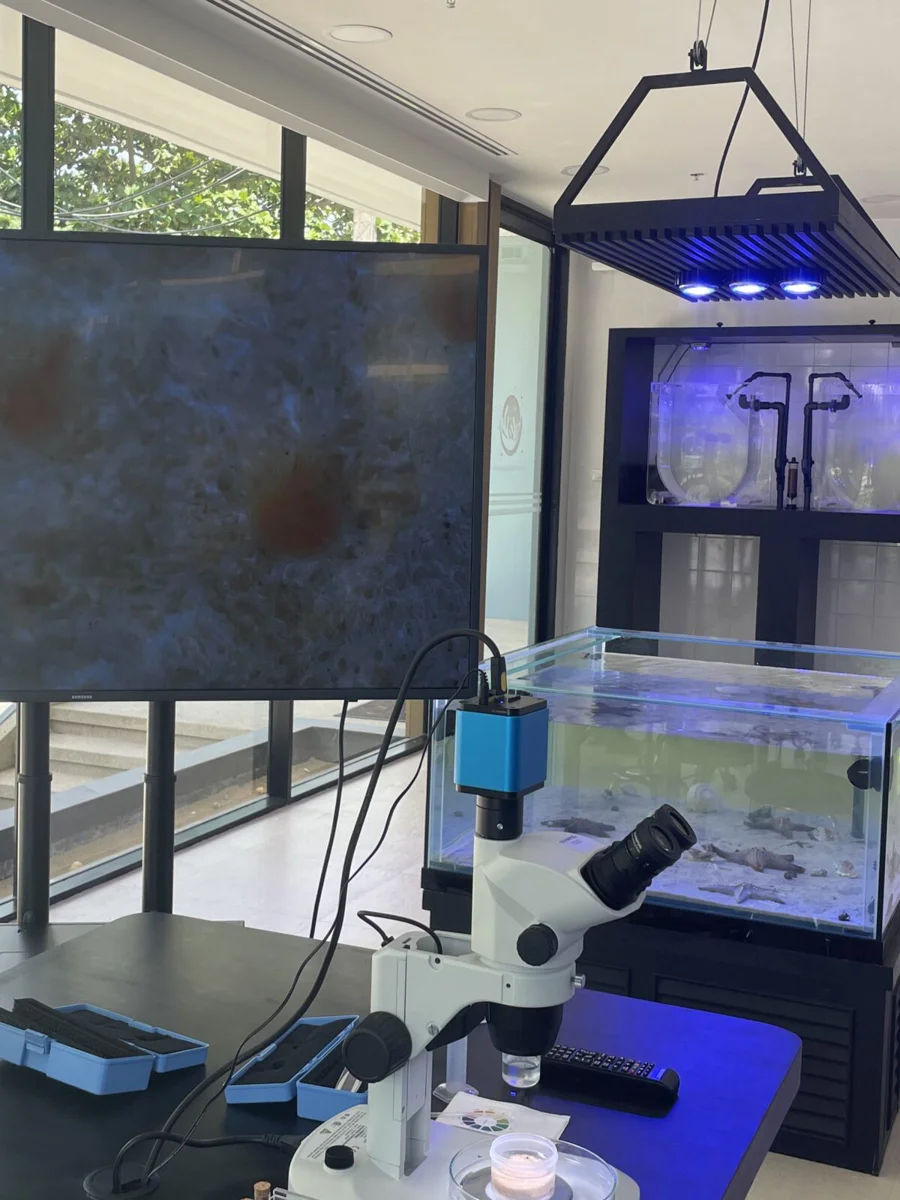 Aquarium & Life Support