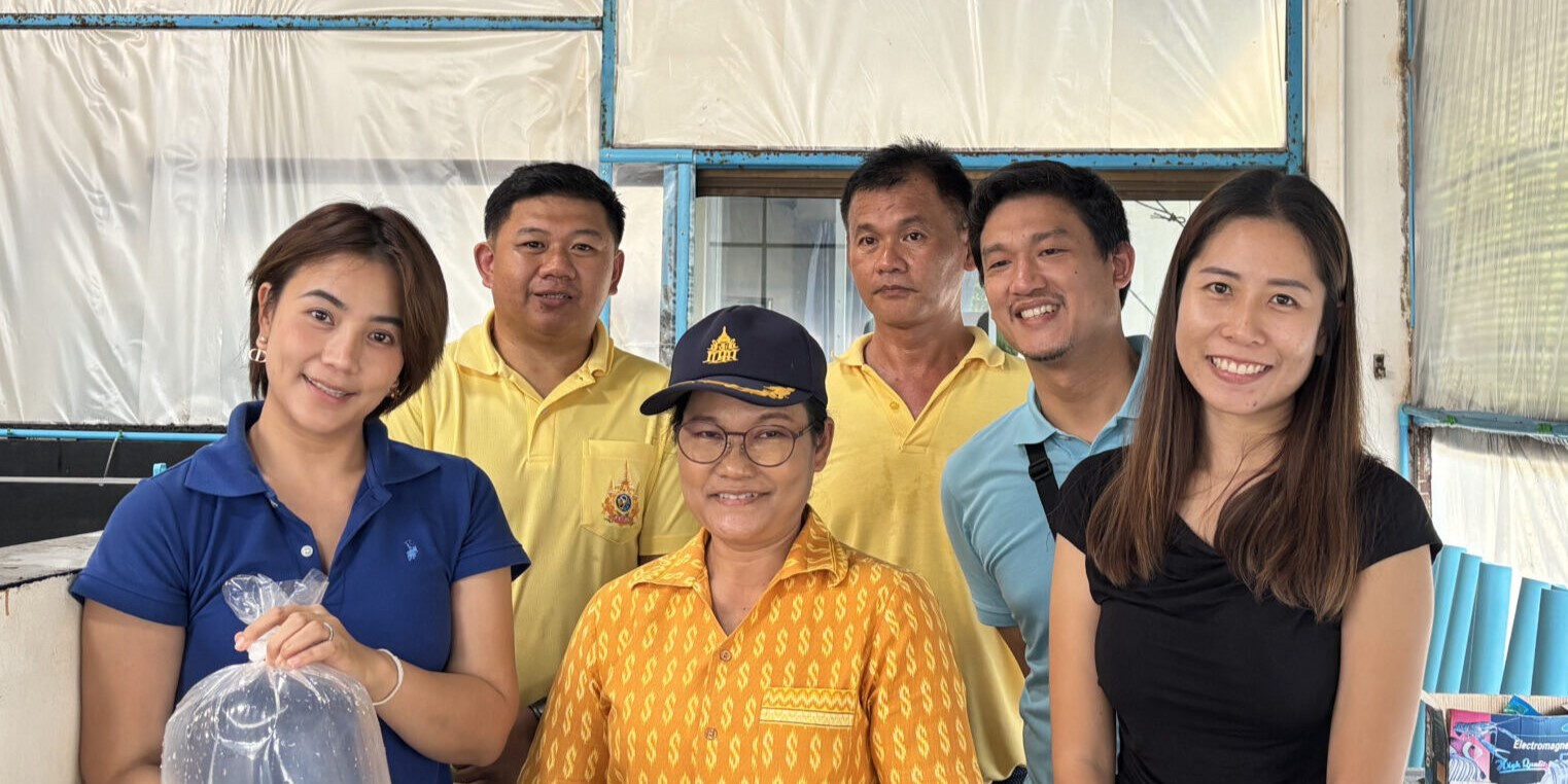 IMG_8848-scaled-e1756880236654 edit